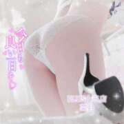 ヒメ日記 2026/09/20 10:49 投稿 菜月(なつき) PLUS十三店