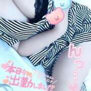 ヒメ日記 2026/09/13 17:02 投稿 れいん One More 奥様 千葉店