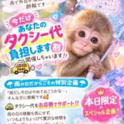 ヒメ日記 2026/10/04 12:35 投稿 七瀬りこ MUFUFU-HITOHADA-center
