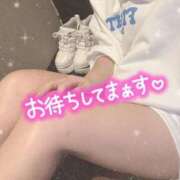 ヒメ日記 2026/08/12 11:40 投稿 あいり ぷるるん小町日本橋店