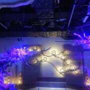 ヒメ日記 2026/10/10 15:51 投稿 みほ 夜這専門発情する奥様たち 谷九店