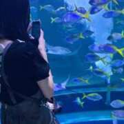ヒメ日記 2026/10/13 15:19 投稿 ぴの★UL対応 Blue Moon