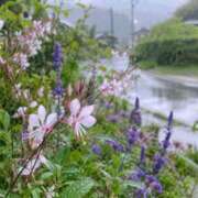 ヒメ日記 2026/08/28 08:05 投稿 さくら 奥様クラブ