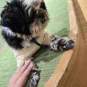 ヒメ日記 2026/09/20 16:23 投稿 りゆ 新横浜ちゃんこ