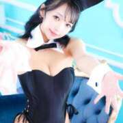 ヒメ日記 2026/07/22 08:11 投稿 はつね JAPAN CLUB BUNNY LOUNGE