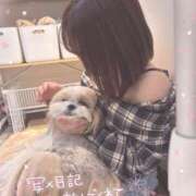 ヒメ日記 2026/09/01 04:10 投稿 【きら】小柄巨乳が可愛い バブルリングプラス