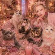 ちなつ はじめまして…ん？ コレクション