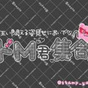 ヒメ日記 2026/09/05 08:51 投稿 成宮（なるみや） 熟女の風俗最終章 大宮店