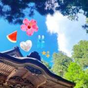 ヒメ日記 2026/07/28 19:41 投稿 れいな ぐっすり山田 五反田店