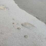 ヒメ日記 2026/08/14 13:12 投稿 あんな 千葉松戸ちゃんこ