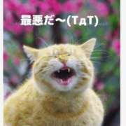 みのり やってしまった～☀️😵💦 松本人妻隊