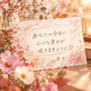 ヒメ日記 2026/10/13 08:06 投稿 西島杏 五十路マダムエクスプレス横浜店（カサブランカグループ）
