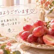 ヒメ日記 2026/10/22 07:46 投稿 西島杏 五十路マダムエクスプレス横浜店（カサブランカグループ）