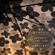 ヒメ日記 2026/10/26 23:14 投稿 西島杏 五十路マダムエクスプレス横浜店（カサブランカグループ）