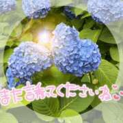 ヒメ日記 2026/08/01 20:06 投稿 詩織(しおり) モアグループ厚木人妻城