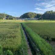 ヒメ日記 2026/08/21 17:15 投稿 ほたる 逢って30秒で即尺