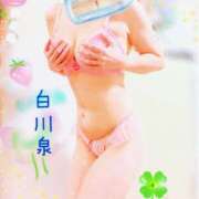 ヒメ日記 2026/08/01 14:42 投稿 白川　泉 プルプル人妻専門店