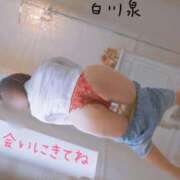ヒメ日記 2026/08/22 09:02 投稿 白川　泉 プルプル人妻専門店