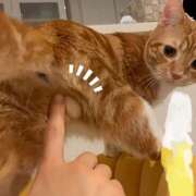 ヒメ日記 2026/09/13 11:18 投稿 みなみ おふくろさんYO!!大和店