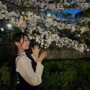 ヒメ日記 2026/07/23 07:29 投稿 まい Excellent Royal