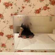ヒメ日記 2026/09/03 18:31 投稿 あまね イエスグループ熊本　Kawaii（カワイイ）