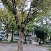ヒメ日記 2026/10/10 12:07 投稿 さゆり(昭和37年生まれ) 熟年カップル名古屋～生電話からの営み～