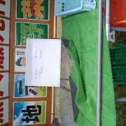 ヒメ日記 2026/09/02 15:15 投稿 貴和子 VIOLET(ヴァイオレット)