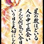 ヒメ日記 2026/10/19 10:43 投稿 貴和子 VIOLET(ヴァイオレット)