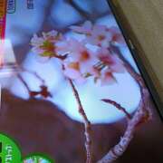 ヒメ日記 2026/10/21 20:43 投稿 貴和子 VIOLET(ヴァイオレット)