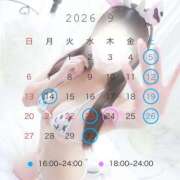 ヒメ日記 2026/08/24 09:59 投稿 みあ スピード梅田店