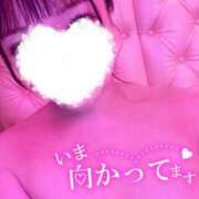 ヒメ日記 2026/08/15 22:52 投稿 るか ぽちゃカワ女子専門店　藤沢湘南店
