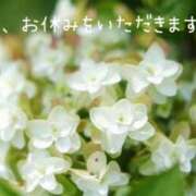 ヒメ日記 2026/07/31 09:45 投稿 みり 完熟ばなな千葉店