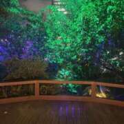 ヒメ日記 2026/09/04 18:50 投稿 かれん 妻天 梅田店