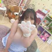 ヒメ日記 2026/07/28 20:04 投稿 かな 白いぽっちゃりさん
