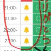 ヒメ日記 2026/09/06 20:50 投稿 体験ヨウコ 人妻生レンタルNTR