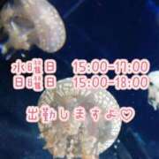ヒメ日記 2026/07/27 10:06 投稿 あず 横浜人妻花壇本店