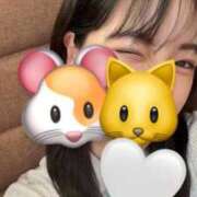 にこ 出勤の日🩷 高級オナクラ　ひよこクラブ