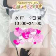 ヒメ日記 2026/09/14 10:28 投稿 りこ ドリーム水戸