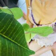 ヒメ日記 2026/07/25 14:38 投稿 天城あすか 癒されるワイフ