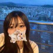 ヒメ日記 2026/08/09 19:59 投稿 ありす 君を舐めたくて学園