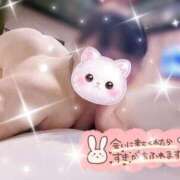 ヒメ日記 2026/09/11 09:39 投稿 しいな 香川高松ちゃんこ