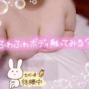 ヒメ日記 2026/09/11 13:09 投稿 しいな 香川高松ちゃんこ