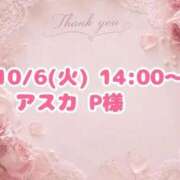 ヒメ日記 2026/10/08 14:49 投稿 しいな 香川高松ちゃんこ