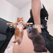 ヒメ日記 2026/09/28 11:22 投稿 星乃(ほしの) PLUS東大阪店（高井田・長田）