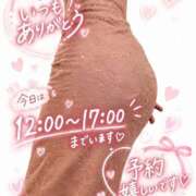 ヒメ日記 2026/10/01 10:02 投稿 せいな(ﾄﾞﾘｰﾑ兼任) ハピネス水戸