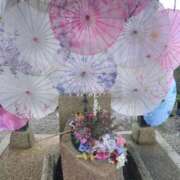 ヒメ日記 2026/10/10 10:43 投稿 わたね 熟女家 堺東店