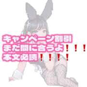 ヒメ日記 2026/08/15 21:48 投稿 ほたる BUNNY×BUNNY