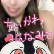 ヒメ日記 2026/09/11 08:13 投稿 ほたる BUNNY×BUNNY