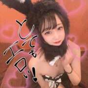 ヒメ日記 2026/08/17 12:23 投稿 しろ BUNNY×BUNNY