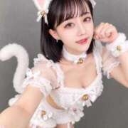 ヒメ日記 2026/10/11 10:19 投稿 しろ BUNNY×BUNNY